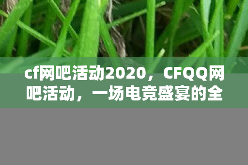 cf网吧活动2020，CFQQ网吧活动，一场电竞盛宴的全方位解读