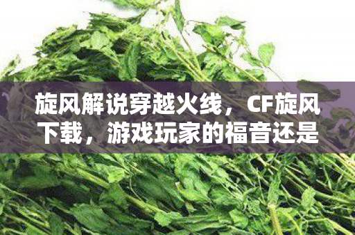 旋风解说穿越火线，CF旋风下载，游戏玩家的福音还是隐患？