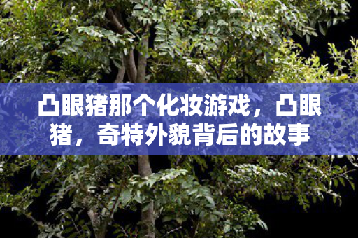 凸眼猪那个化妆游戏，凸眼猪，奇特外貌背后的故事