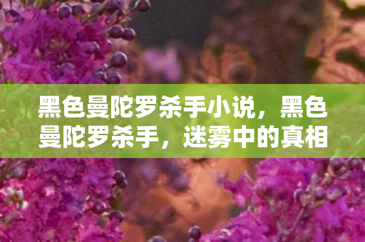黑色曼陀罗杀手小说，黑色曼陀罗杀手，迷雾中的真相探寻