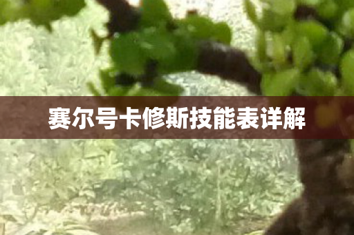 赛尔号卡修斯技能表详解