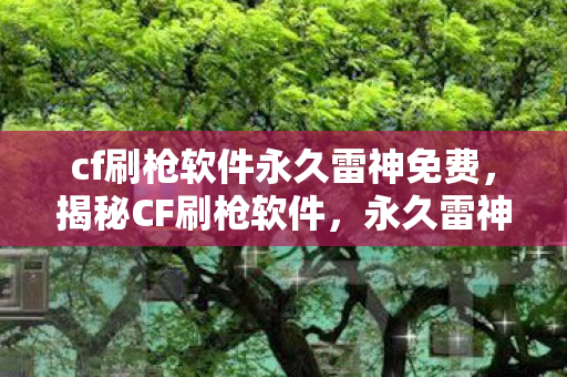 cf刷枪软件永久雷神免费，揭秘CF刷枪软件，永久雷神视频教程及真相探究
