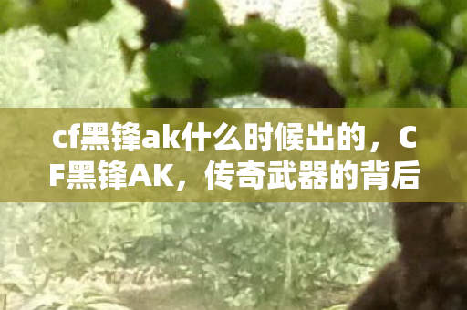 cf黑锋ak什么时候出的，CF黑锋AK，传奇武器的背后故事