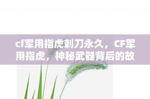 cf军用指虎刺刀永久，CF军用指虎，神秘武器背后的故事