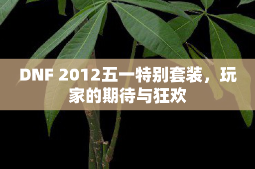 DNF 2012五一特别套装，玩家的期待与狂欢