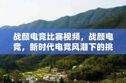战颜电竞比赛视频，战颜电竞，新时代电竞风潮下的挑战与机遇