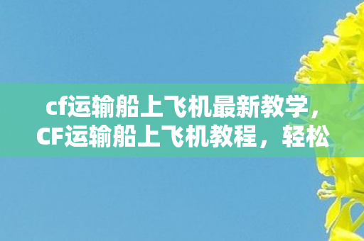 cf运输船上飞机最新教学，CF运输船上飞机教程，轻松掌握高空作战技巧