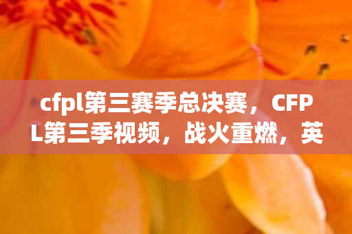 cfpl第三赛季总决赛，CFPL第三季视频，战火重燃，英雄再现