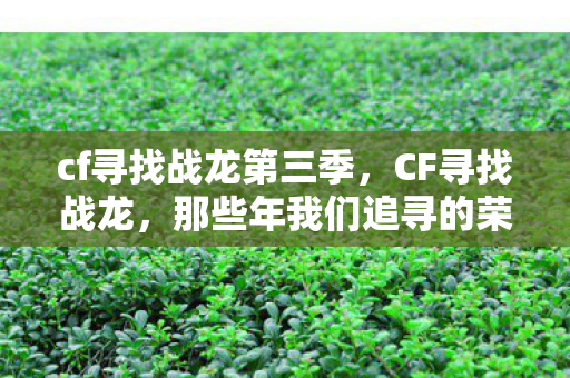 cf寻找战龙第三季，CF寻找战龙，那些年我们追寻的荣耀与梦想