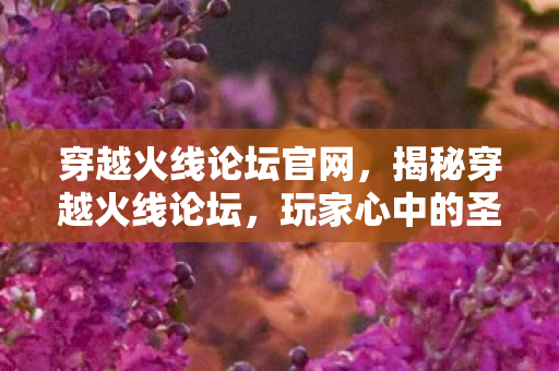 穿越火线论坛官网，揭秘穿越火线论坛，玩家心中的圣地与挑战并存之地