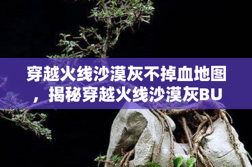 穿越火线沙漠灰不掉血地图，揭秘穿越火线沙漠灰BUG，游戏漏洞与应对策略