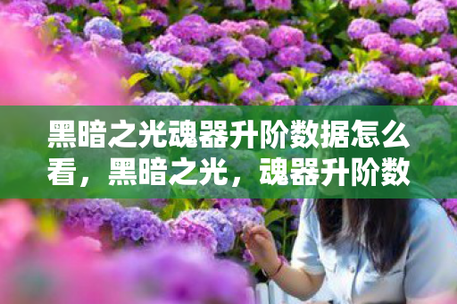 黑暗之光魂器升阶数据怎么看，黑暗之光，魂器升阶数据全解析