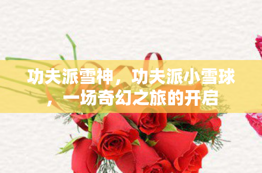 功夫派雪神，功夫派小雪球，一场奇幻之旅的开启