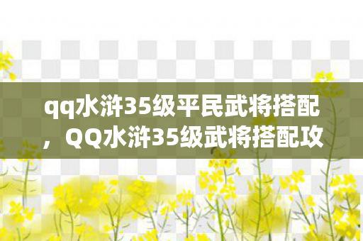 qq水浒35级平民武将搭配，QQ水浒35级武将搭配攻略