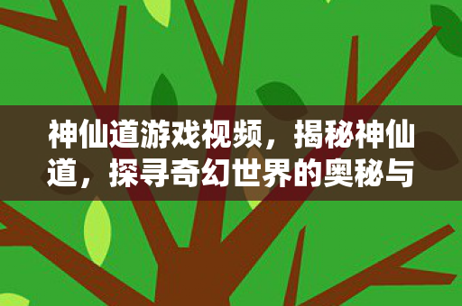 神仙道游戏视频，揭秘神仙道，探寻奇幻世界的奥秘与魅力