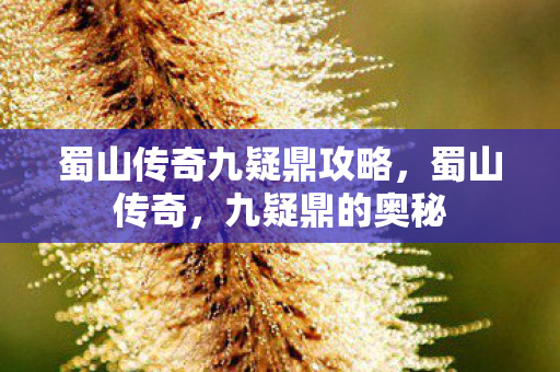 蜀山传奇九疑鼎攻略，蜀山传奇，九疑鼎的奥秘