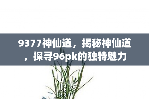 9377神仙道，揭秘神仙道，探寻96pk的独特魅力