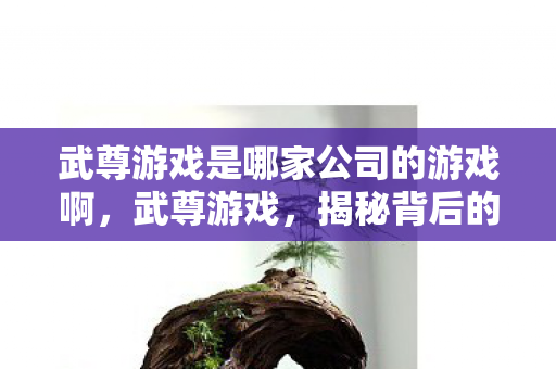 武尊游戏是哪家公司的游戏啊，武尊游戏，揭秘背后的公司巨头