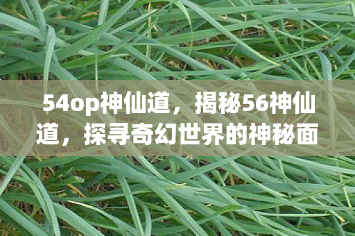 54op神仙道，揭秘56神仙道，探寻奇幻世界的神秘面纱