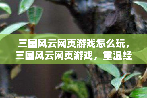 三国风云网页游戏怎么玩，三国风云网页游戏，重温经典，策略制胜