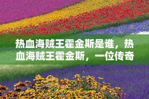 热血海贼王霍金斯是谁，热血海贼王霍金斯，一位传奇海盗的成长之路