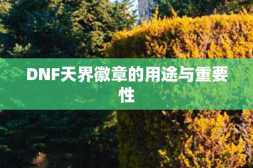 DNF天界徽章的用途与重要性