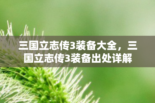 三国立志传3装备大全，三国立志传3装备出处详解