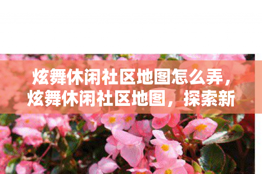 炫舞休闲社区地图怎么弄，炫舞休闲社区地图，探索新时代的舞蹈乐园
