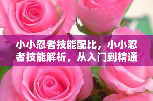 小小忍者技能配比，小小忍者技能解析，从入门到精通