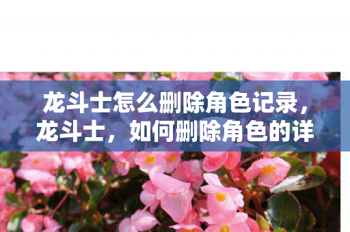 龙斗士怎么删除角色记录，龙斗士，如何删除角色的详细指南