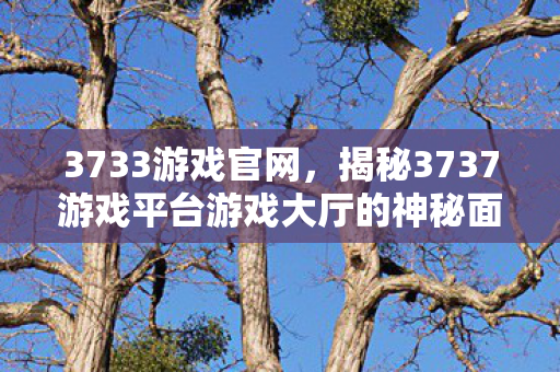 3733游戏官网，揭秘3737游戏平台游戏大厅的神秘面纱