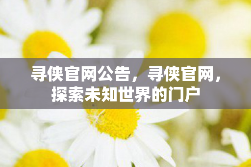 寻侠官网公告，寻侠官网，探索未知世界的门户