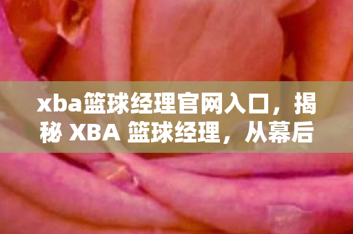 xba篮球经理官网入口，揭秘 XBA 篮球经理，从幕后到台前，篮球背后的故事与智慧
