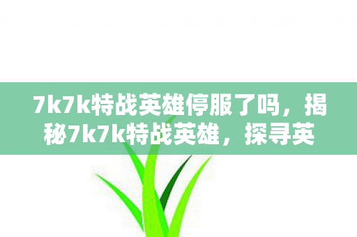 7k7k特战英雄停服了吗，揭秘7k7k特战英雄，探寻英雄背后的故事