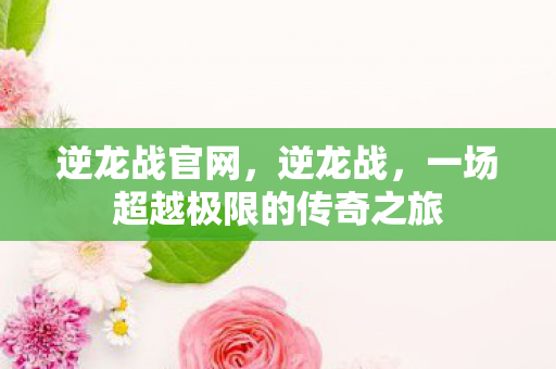 逆龙战官网，逆龙战，一场超越极限的传奇之旅