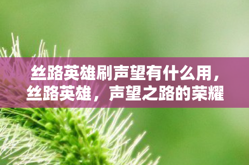 丝路英雄刷声望有什么用，丝路英雄，声望之路的荣耀与策略