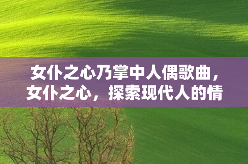 女仆之心乃掌中人偶歌曲，女仆之心，探索现代人的情感寄托与自我认同