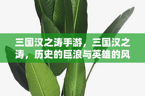 三国汉之涛手游，三国汉之涛，历史的巨浪与英雄的风采