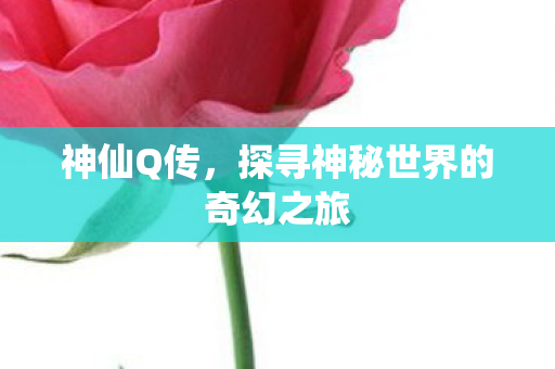 神仙Q传，探寻神秘世界的奇幻之旅