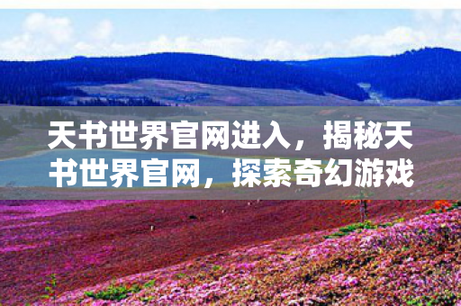天书世界官网进入，揭秘天书世界官网，探索奇幻游戏的不二之选