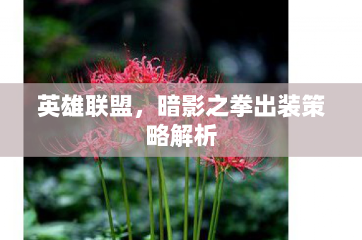 英雄联盟，暗影之拳出装策略解析