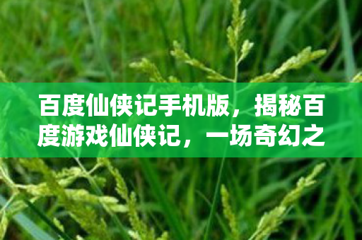 百度仙侠记手机版，揭秘百度游戏仙侠记，一场奇幻之旅的沉浸式体验