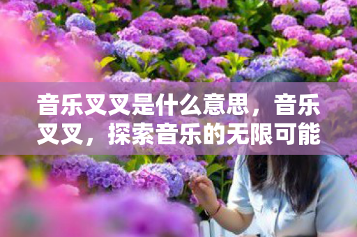 音乐叉叉是什么意思，音乐叉叉，探索音乐的无限可能