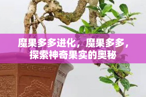 魔果多多进化，魔果多多，探索神奇果实的奥秘