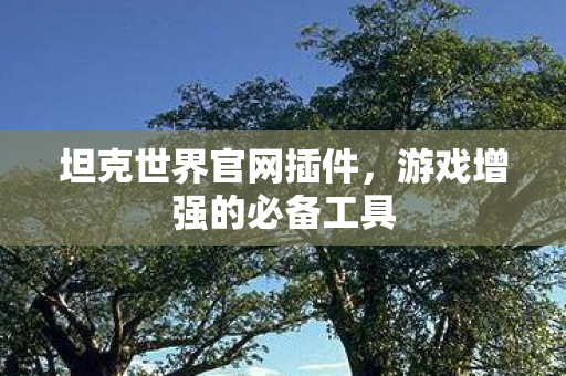 坦克世界官网插件，游戏增强的必备工具