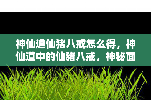 神仙道仙猪八戒怎么得，神仙道中的仙猪八戒，神秘面纱下的英雄传奇