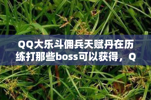 QQ大乐斗佣兵天赋丹在历练打那些boss可以获得，QQ大乐斗佣兵，深度解析与策略指南