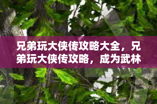 兄弟玩大侠传攻略大全，兄弟玩大侠传攻略，成为武林高手的秘诀