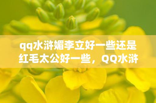 qq水浒媚李立好一些还是红毛太公好一些，QQ水浒媚李立，英雄背后的故事
