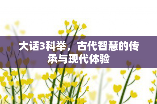大话3科举，古代智慧的传承与现代体验